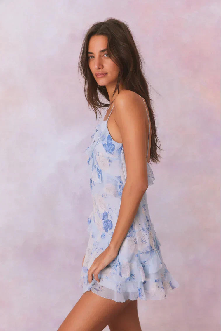 Lomina Heirloom Print Silk Mini Dress