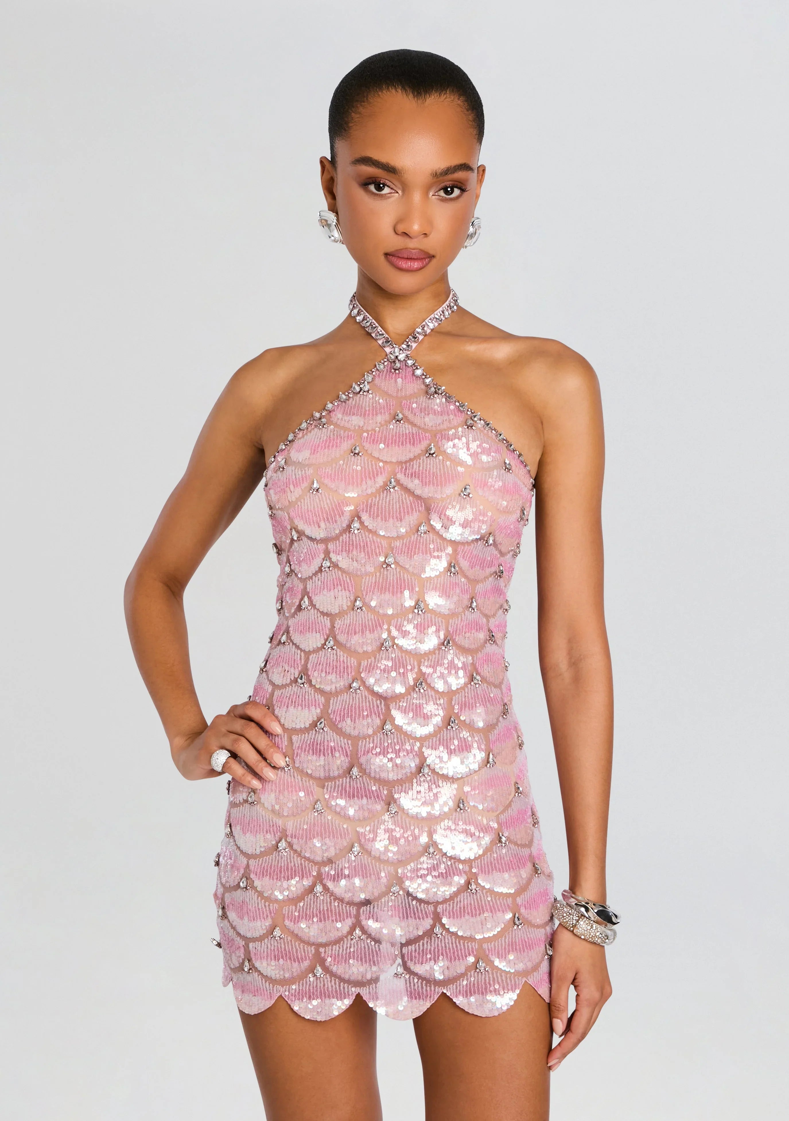 Ninette Sequin Embroidered Mini Dress